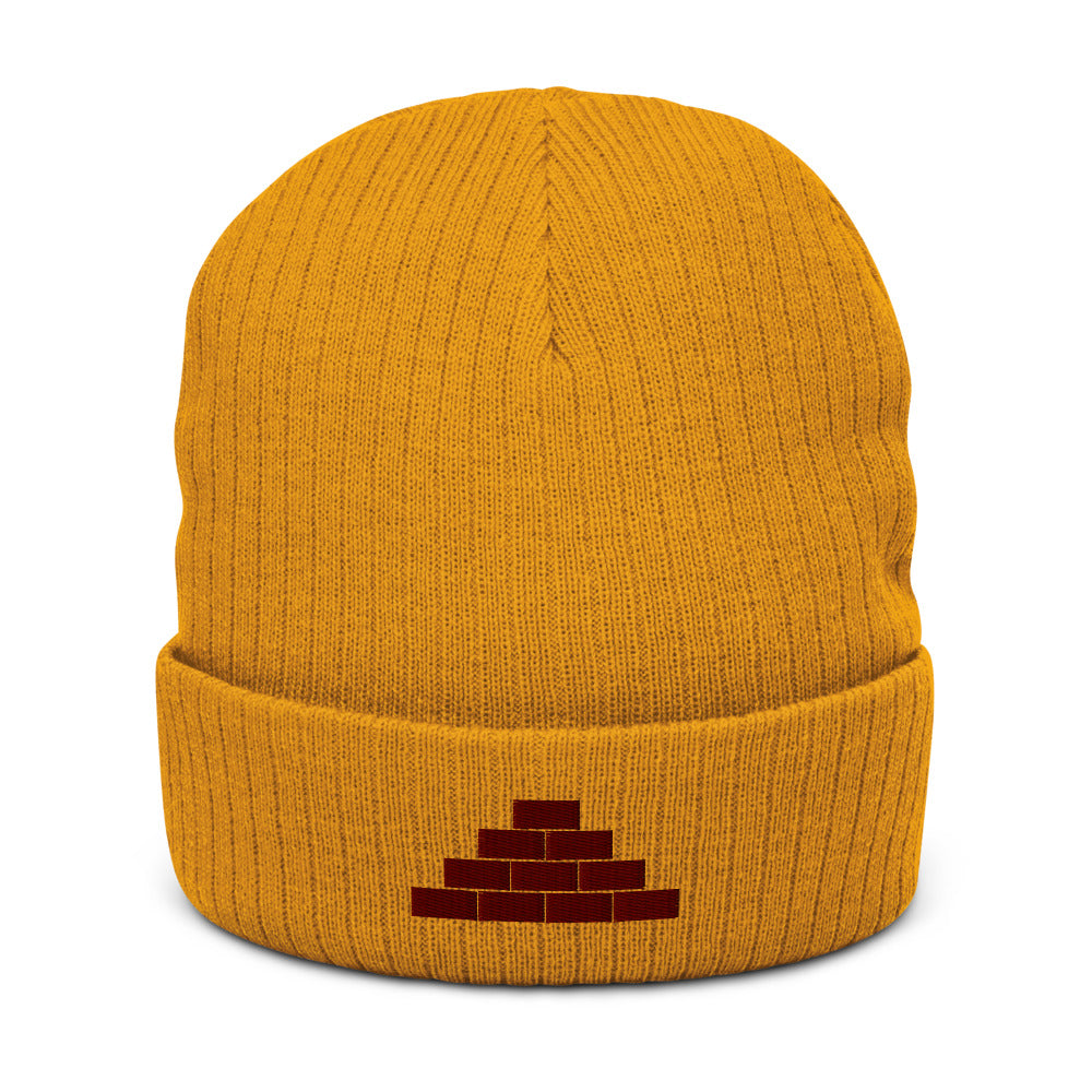 Build Daily Brick by Brick Ribbed Beanie