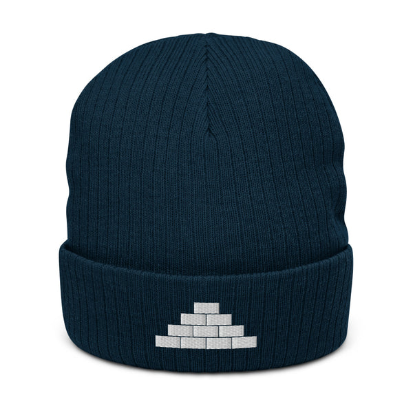 Build Daily Brick by Brick Ribbed Beanie